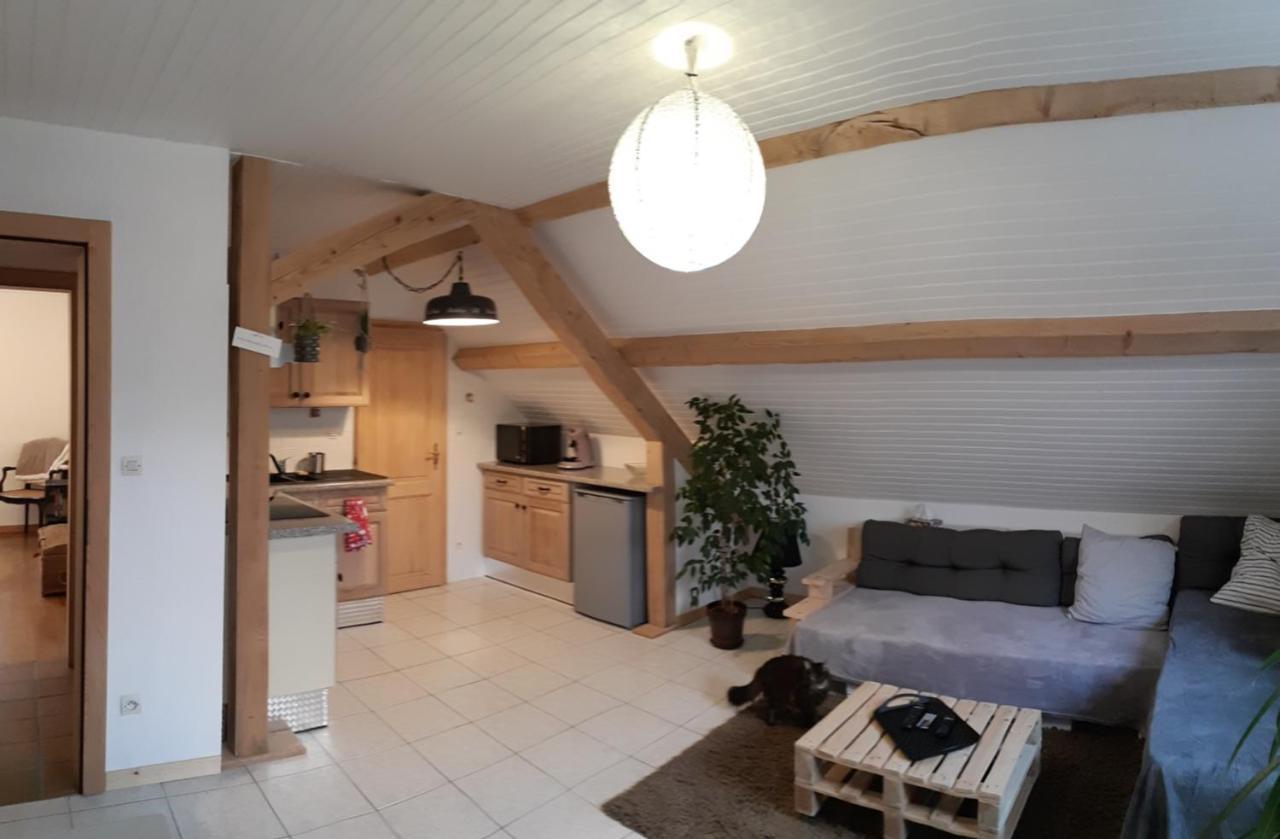 Appartement Douillet Avec Vue Sur Les Montagnes Fouchy Экстерьер фото